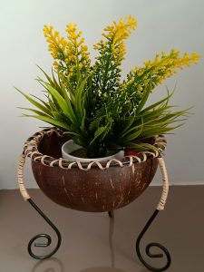 Flower Pot with some flower
