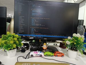 A view of the office desk with a monitor, water bottle, indoor plants, and cables. 
