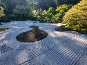 A serene Japanese Zen garden featuring meticulously raked gravel in intricate patterns, surrounding areas of moss and small shrubs, with lush green trees and foliage in the background. Portland, OR – USA
