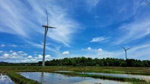 A scenic landscape featuring two large wind turbines positioned among lush green rice fields.