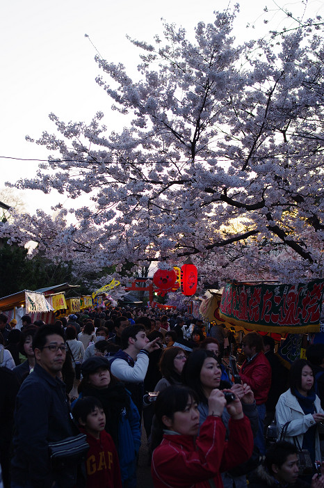 夜桜 ~円山公園~_f0152550_1817796.jpg