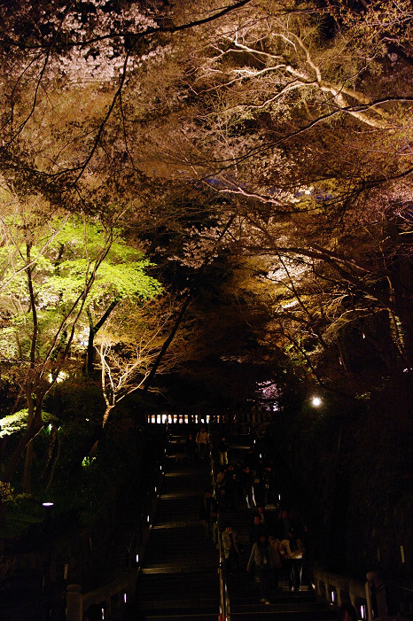 夜桜 ~清水寺~_f0152550_22583937.jpg