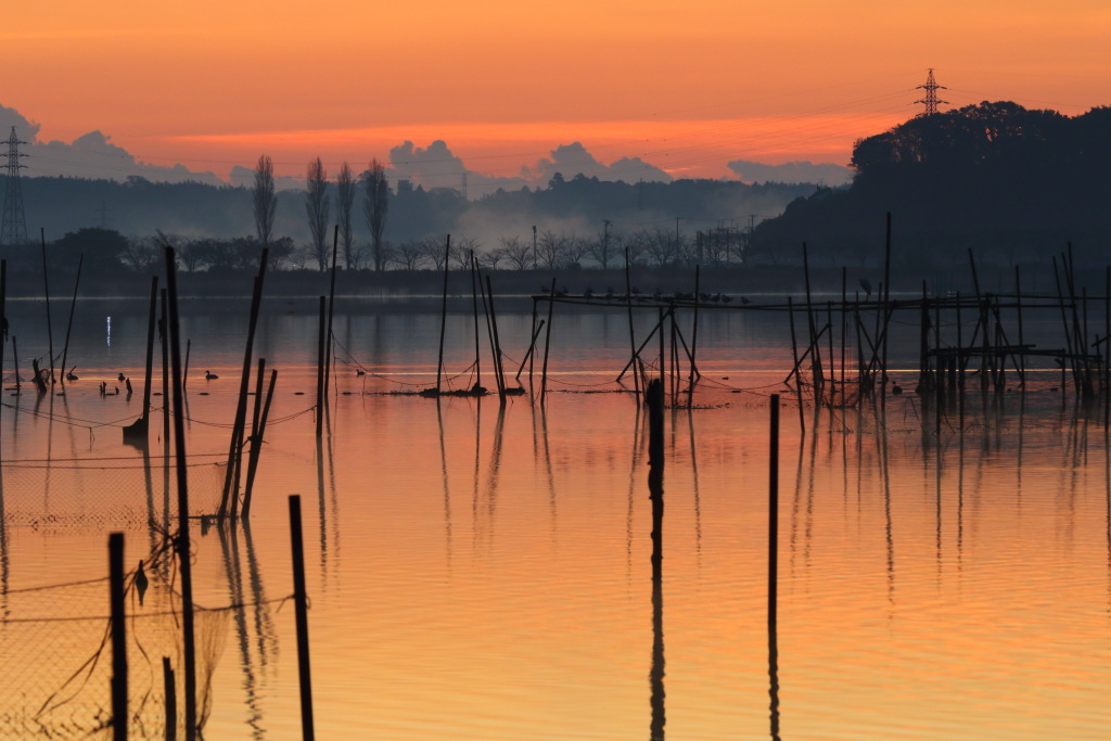 「Today\'s action」のfuruinu3さん登場!_c0039735_13522599.jpg