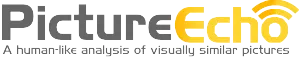PictureEcho Logo