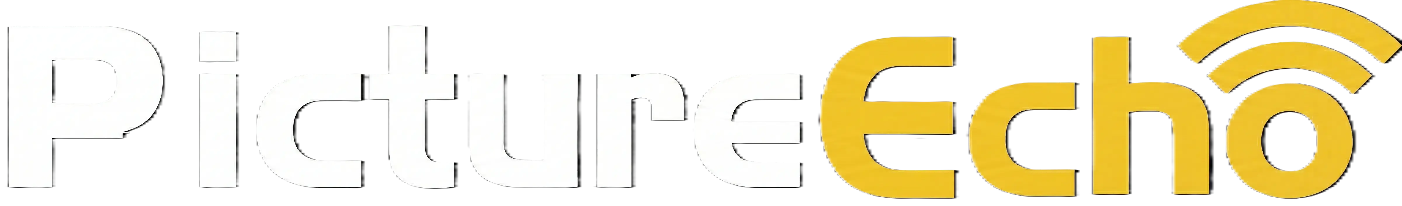 PictureEcho Logo