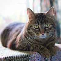 Images can also appear in instructor notes