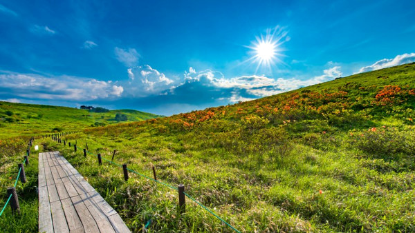 Thumbnail of post image 044