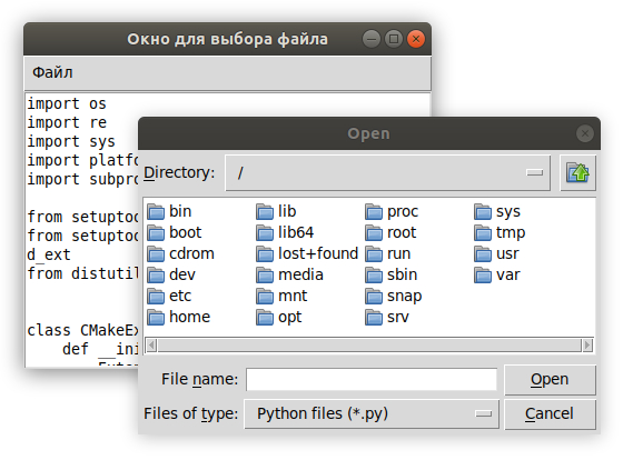 выбора файла в Tkinter