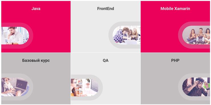 IT профессия сегодня – уверенность в будущем завтра