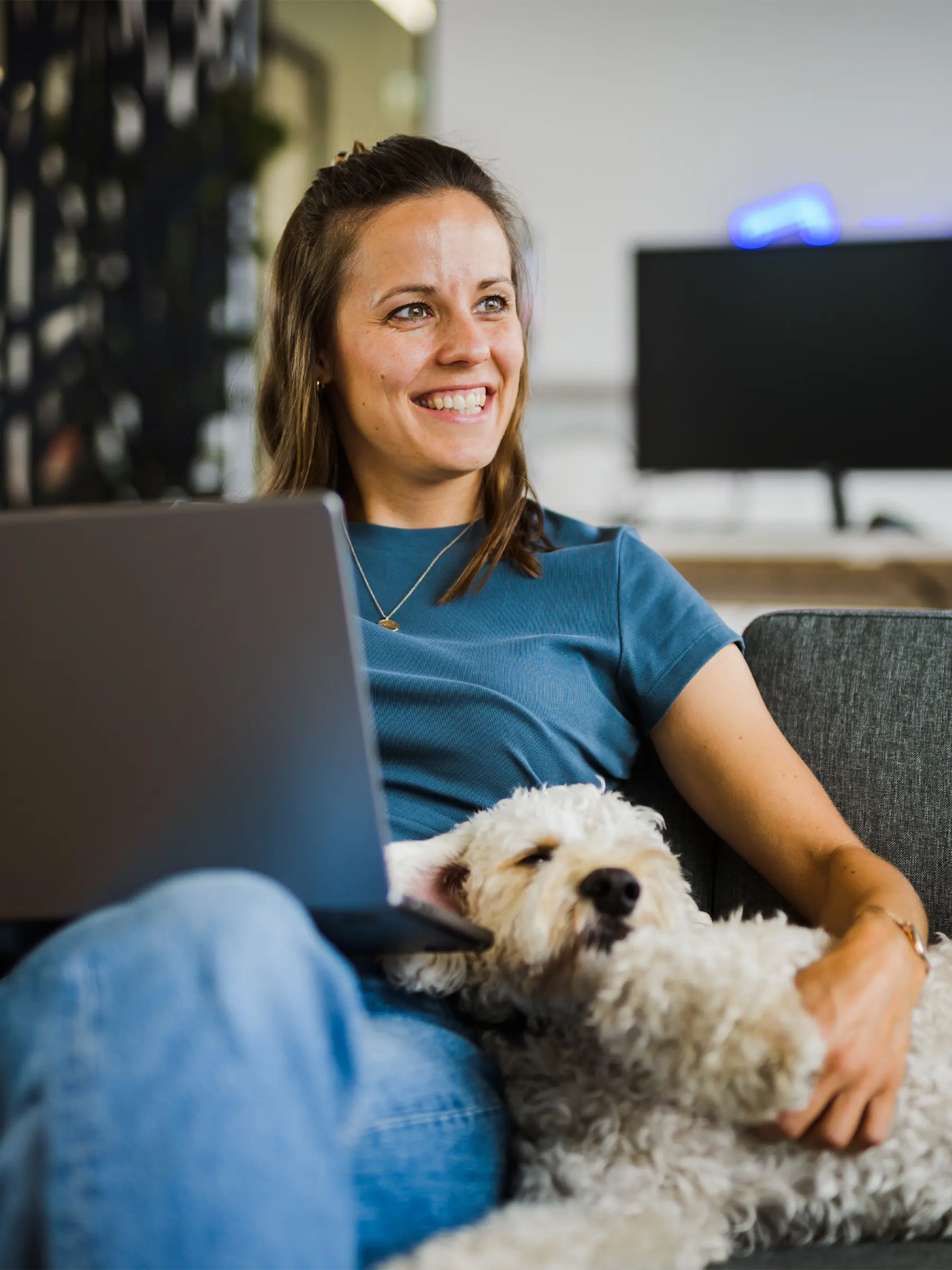 Raidboxes Office dog