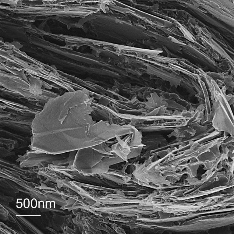 Ion microscopy image showing a lithium ion image of graphite