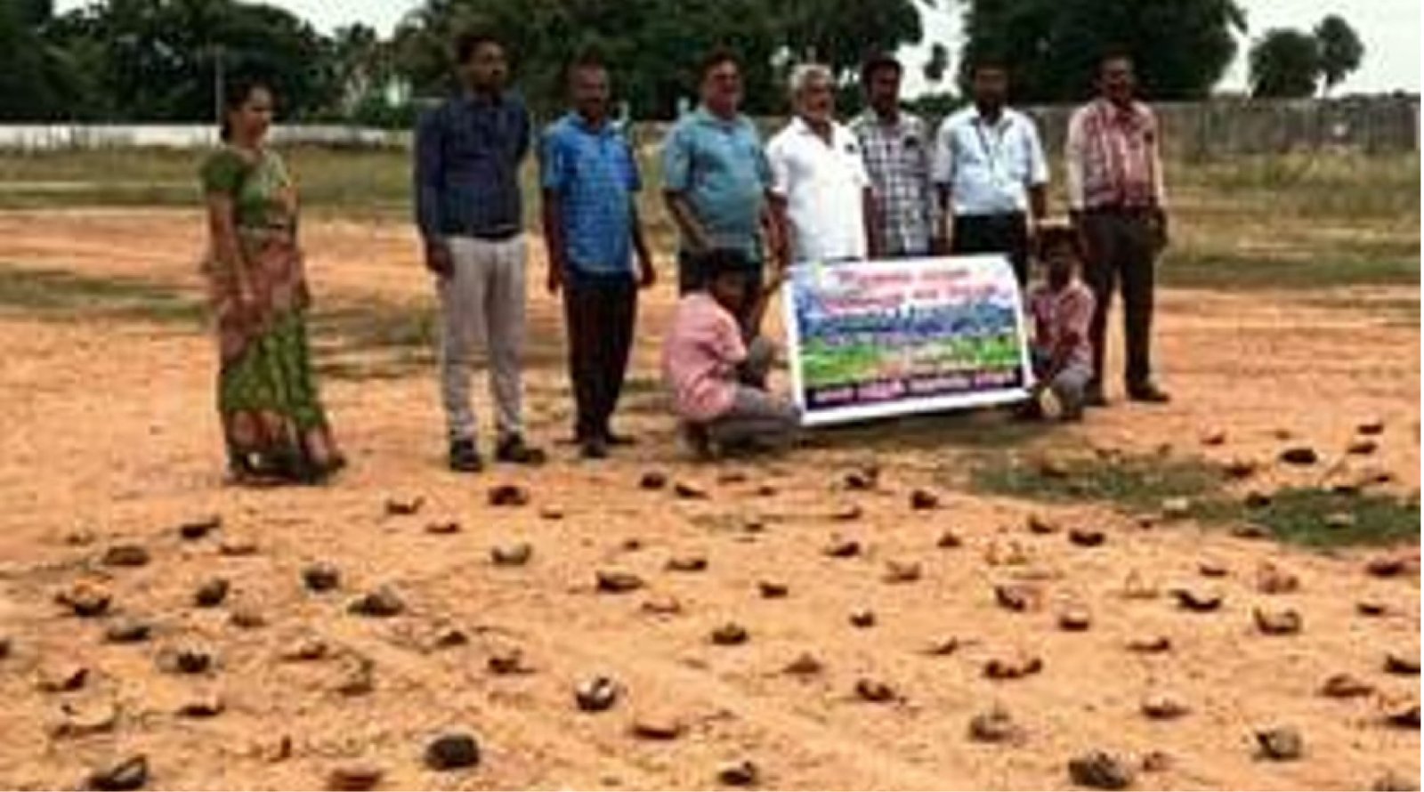 பனை விதைகள் நடவு செய்த அரசுப் பள்ளி மாணவா்கள்