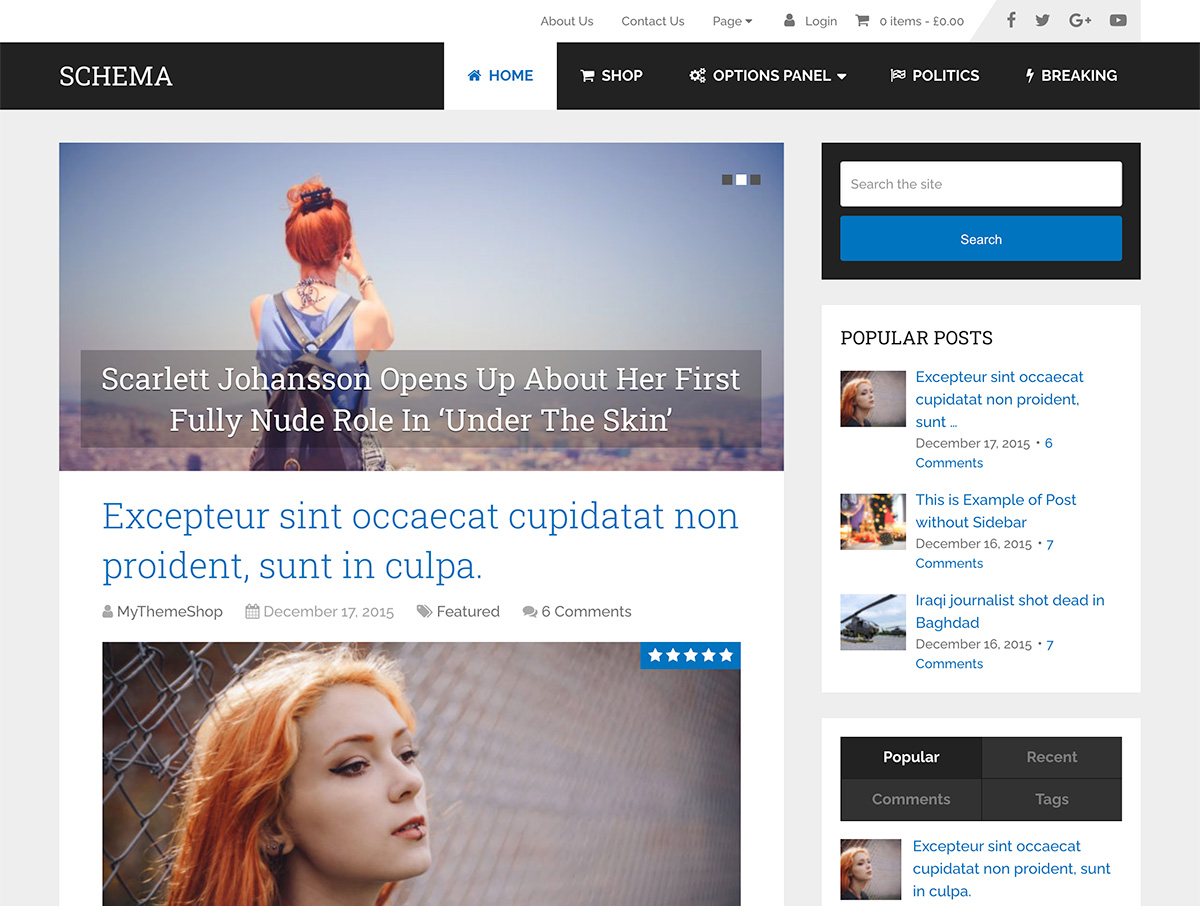 Schema WordPress Theme