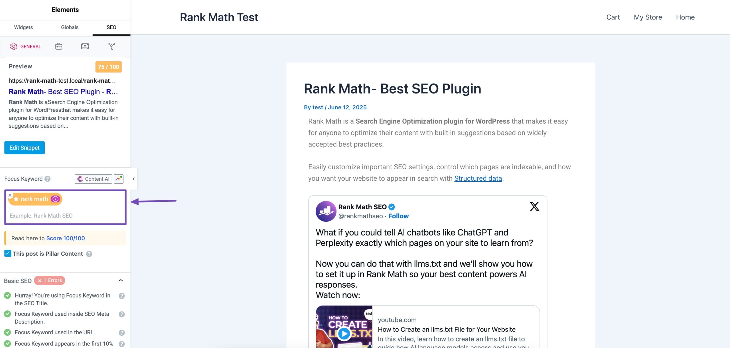 Elementor SEO Focus Keyword