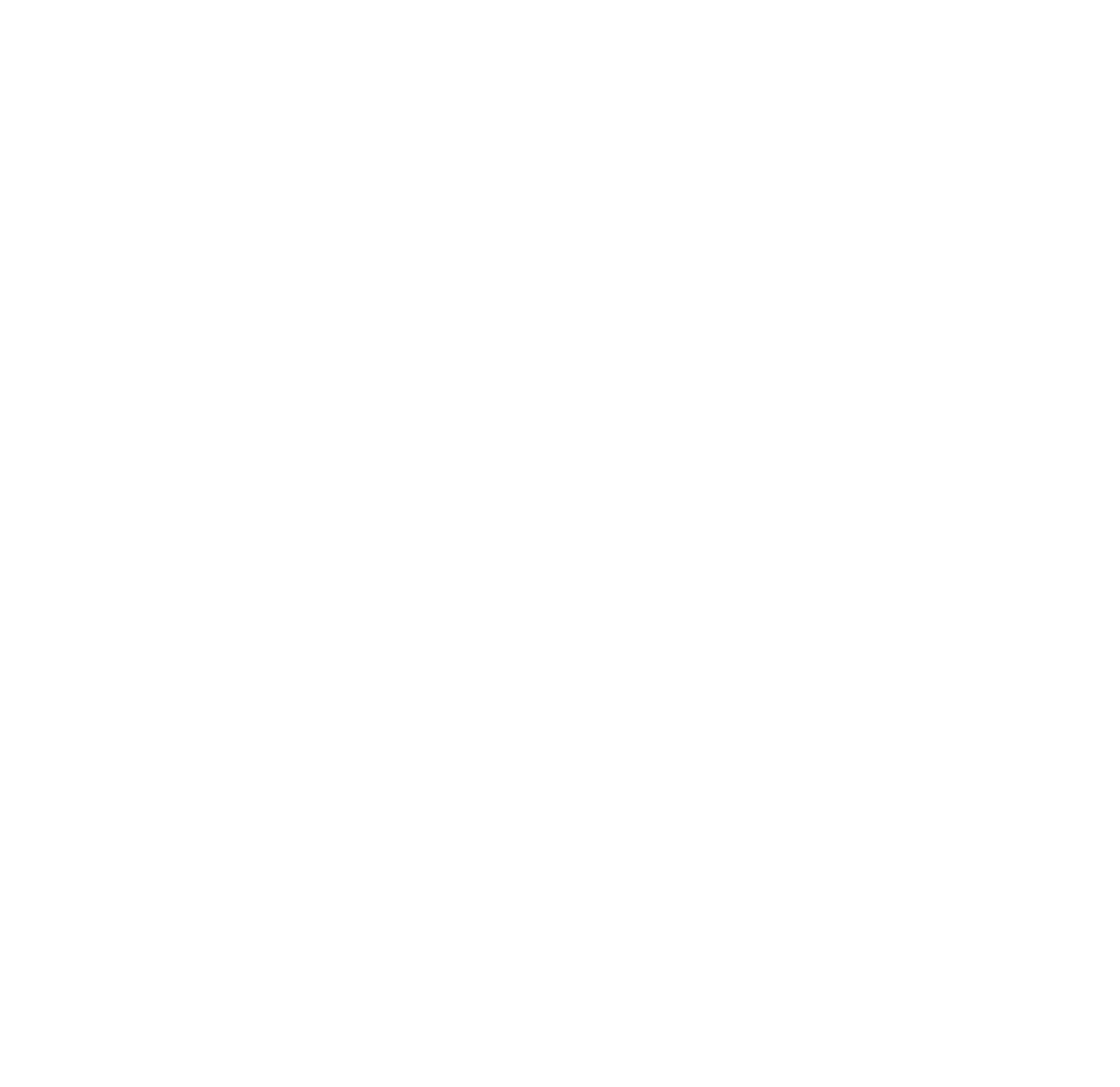 Borderliner's GitHub