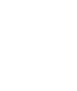 tranparent logo
