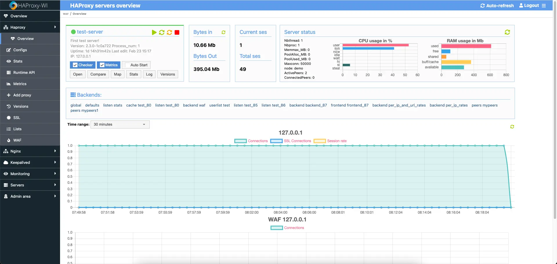 HAProxy server overview page alt text