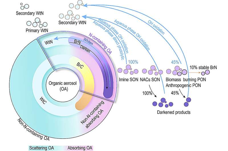 HKUST, SUSTech, and NCAMS researchers reveal nitrogen's dominant role in global organic aerosol absorption