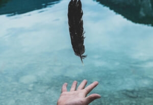 Thermo Gravimetric Analysis