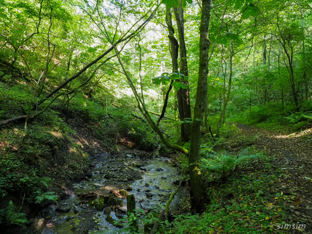 軽井沢野鳥の森