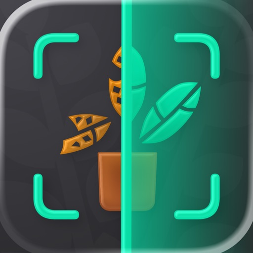 Определитель растений. Болезни