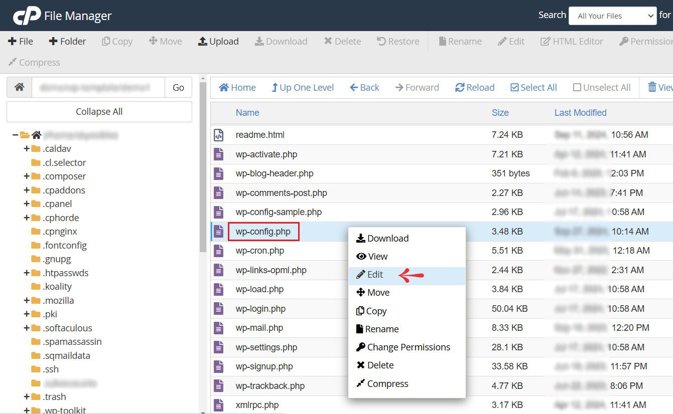 Fix PHP Errors WordPress