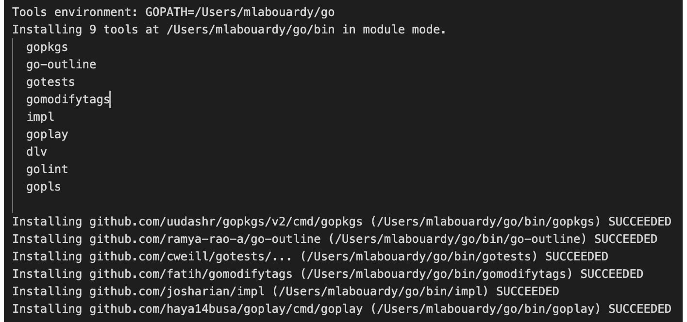 Figure 1.14 &ndash; Go tools installation
