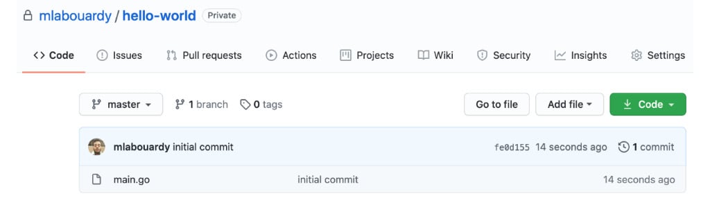 Figure 1.23 &ndash; Versioning main.go in Git
