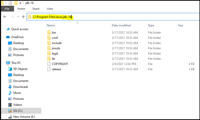 Java 16 installation bin path