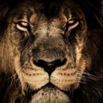 強いとウザい 自己顕示欲