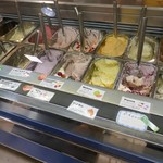 ジェラートアイス　ダンディライアン - ショーケース