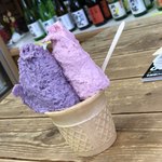 わかさやアイスクリームガーデン - ダブル350円(ブルーベリー&ラズベリー)