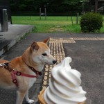 大滝れすとはうす（イタリアンキッチンえむ） - 