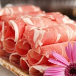 shisenhinabesemmonten sushaoron