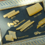 ラ･スコリエーラ - ラ・スコリエーラ