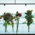 cafe&dining blue terminal - 