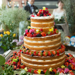 cafe&dining blue terminal - 