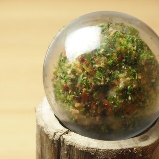 SNS映えポテサラ!?海鮮や天婦羅など多彩なメニューをご用意