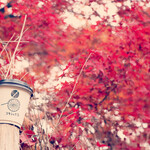 リキシャカフェ - 