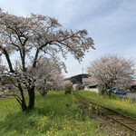 たけのこ - 桜が満開だった最寄駅の総元駅。