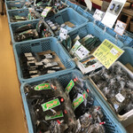 パイン - 新物の あおさ も販売