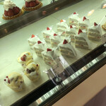 피네도 욧카이치점 - 매장 내 쇼케이스