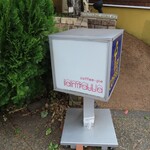 セントポーリア - 