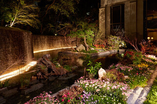 grand cafe All Day Dining - Grand Cafe Night Garden 2