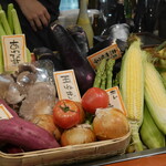 千寿 一歩一歩 - 