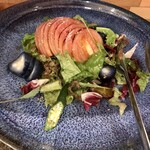 토랏토리아 토리노스 - 