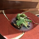 토랏토리아 토리노스 - 