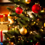 焼肉レストラン ロインズ - 