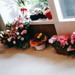 ベリエ - 店内のお花