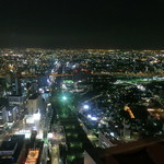 ジーニス - ナイトビュー